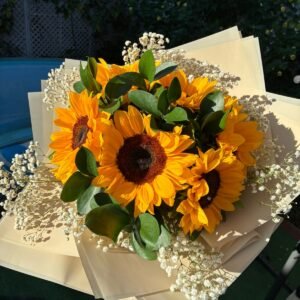 Seis girasoles